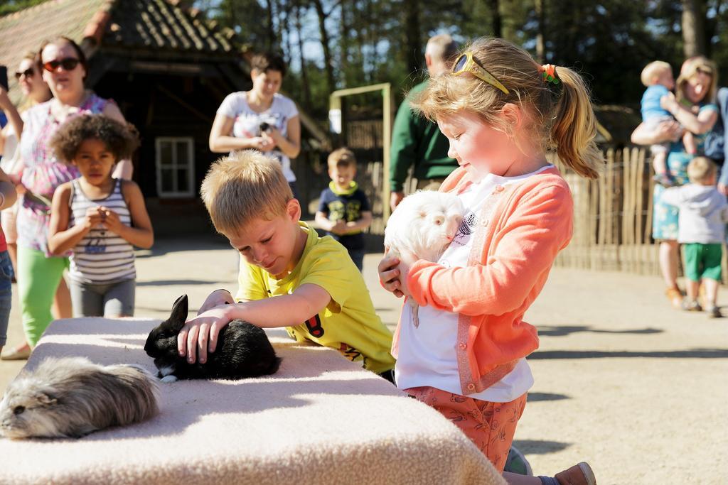 ホテル Center Parcs Erperheide ペーアー エクステリア 写真