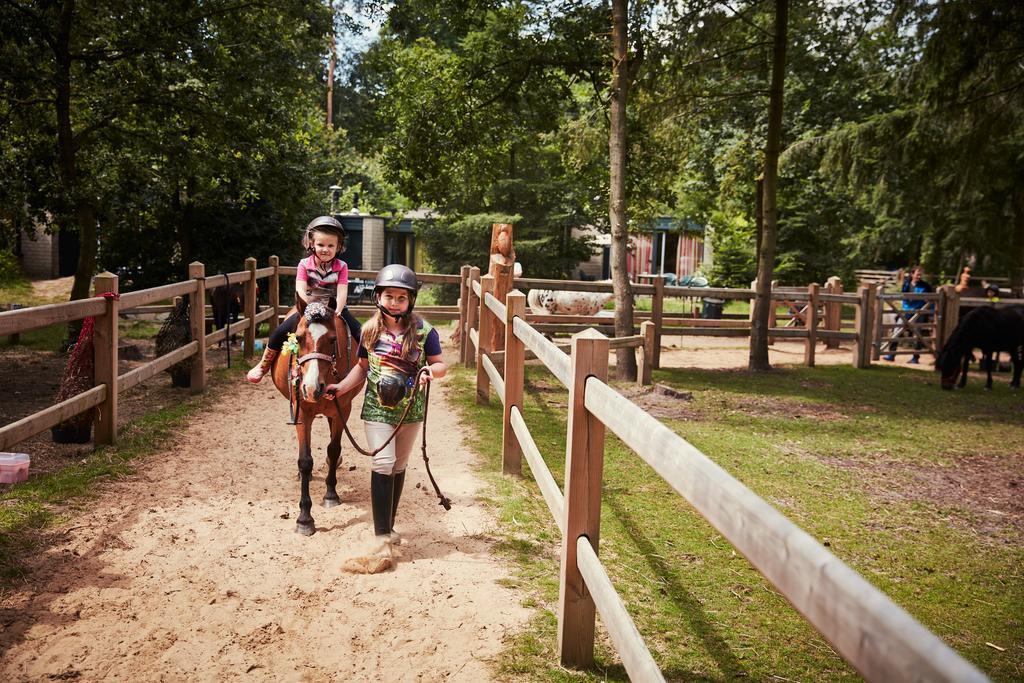 ホテル Center Parcs Erperheide ペーアー エクステリア 写真